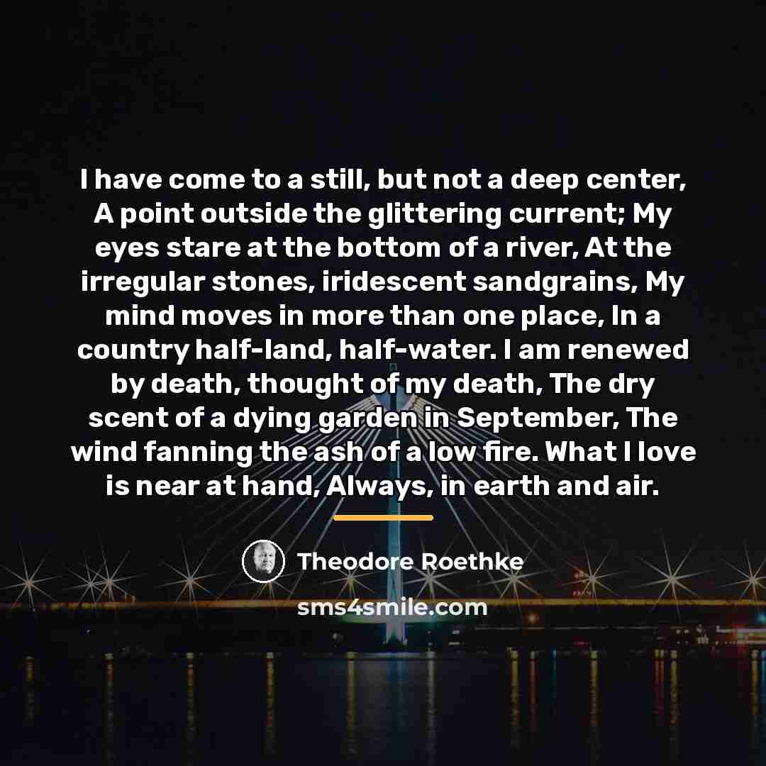 “I have come to a still, but not a deep…” quote by Theodore Roethke
