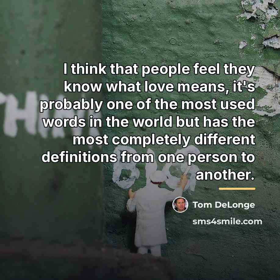 “I think that people feel they know what love means,…” quote by Tom DeLonge