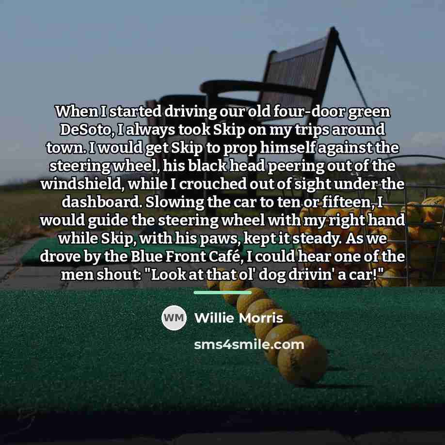 “When I started driving our old four-door green DeSoto, I…” quote by Willie Morris