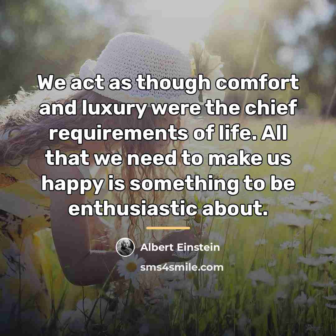 “We act as though comfort and luxury were the chief…” quote by Albert Einstein