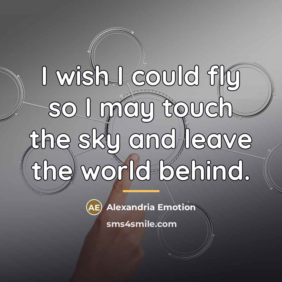“I wish I could fly so I may touch the…” quote by Alexandria Emotion