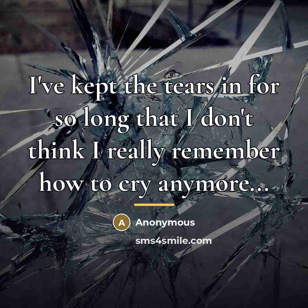 “I've kept the tears in for so long that I…” quote by Anonymous