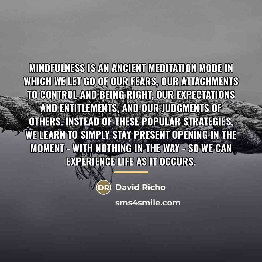 “Mindfulness is an ancient meditation mode in which we let…” quote by David Richo