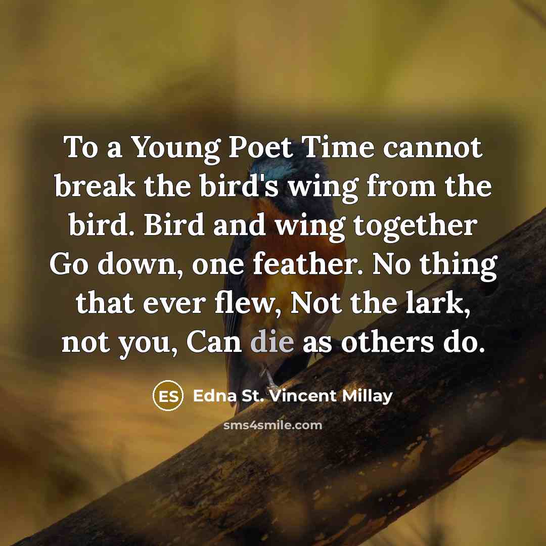 “To a Young Poet Time cannot break the bird's wing…” quote by Edna St. Vincent Millay