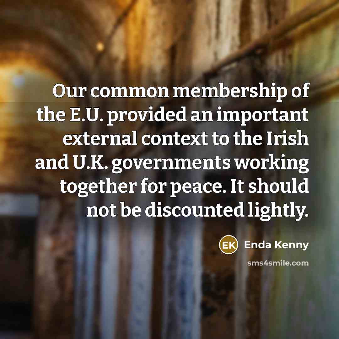 “Our common membership of the E.U. provided an important external…” quote by Enda Kenny