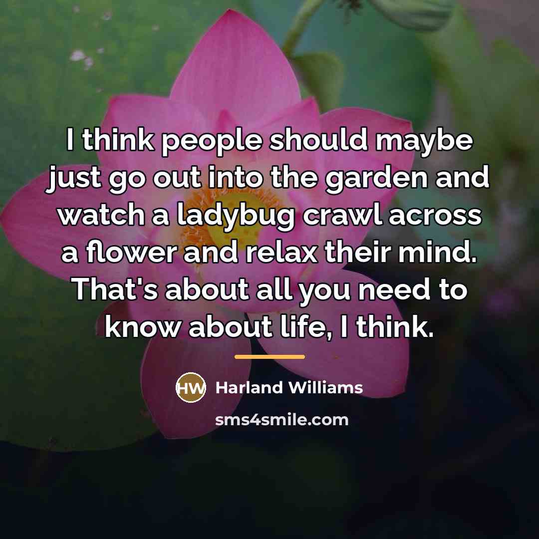 “I think people should maybe just go out into the…” quote by Harland Williams