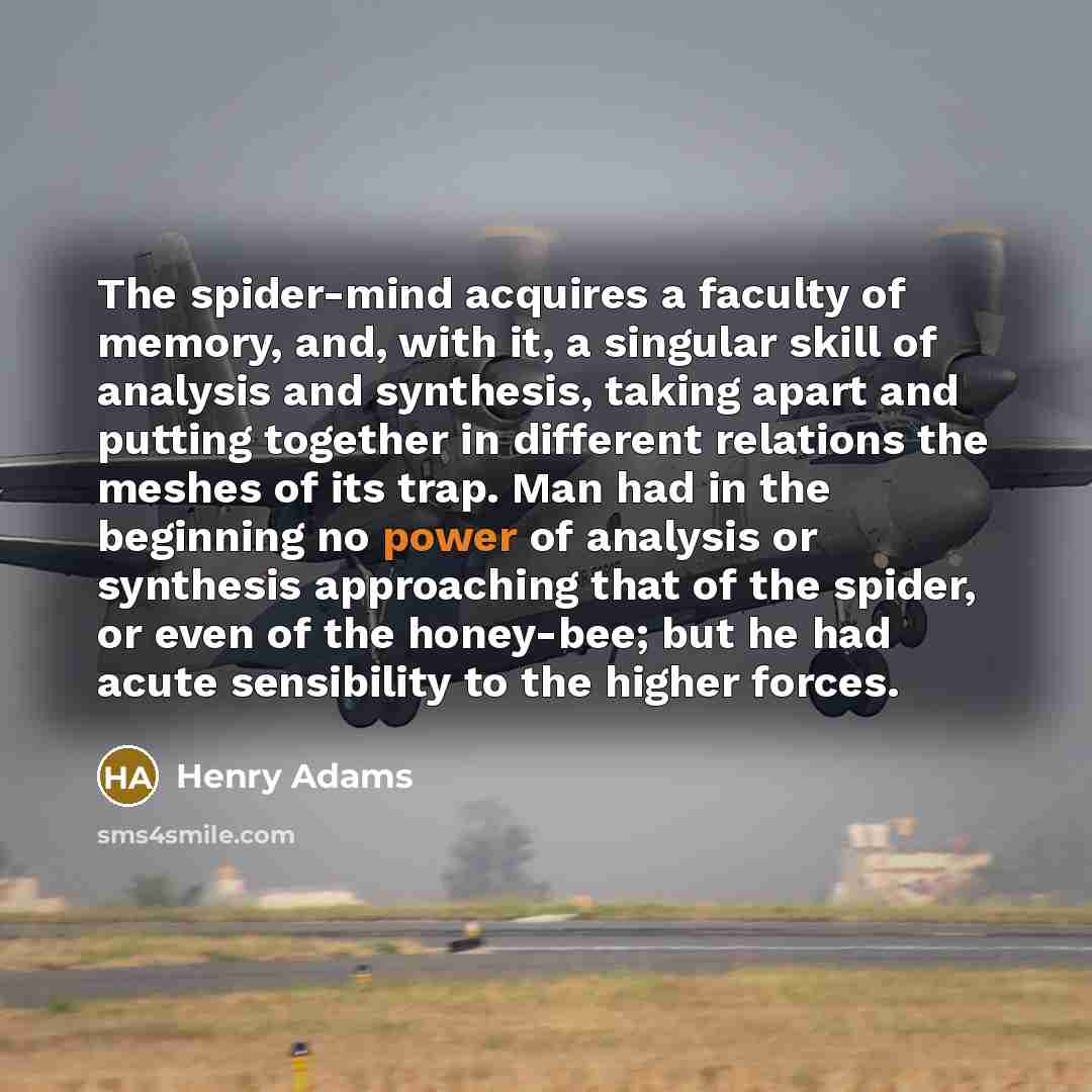 “The spider-mind acquires a faculty of memory, and, with it,…” quote by Henry Adams