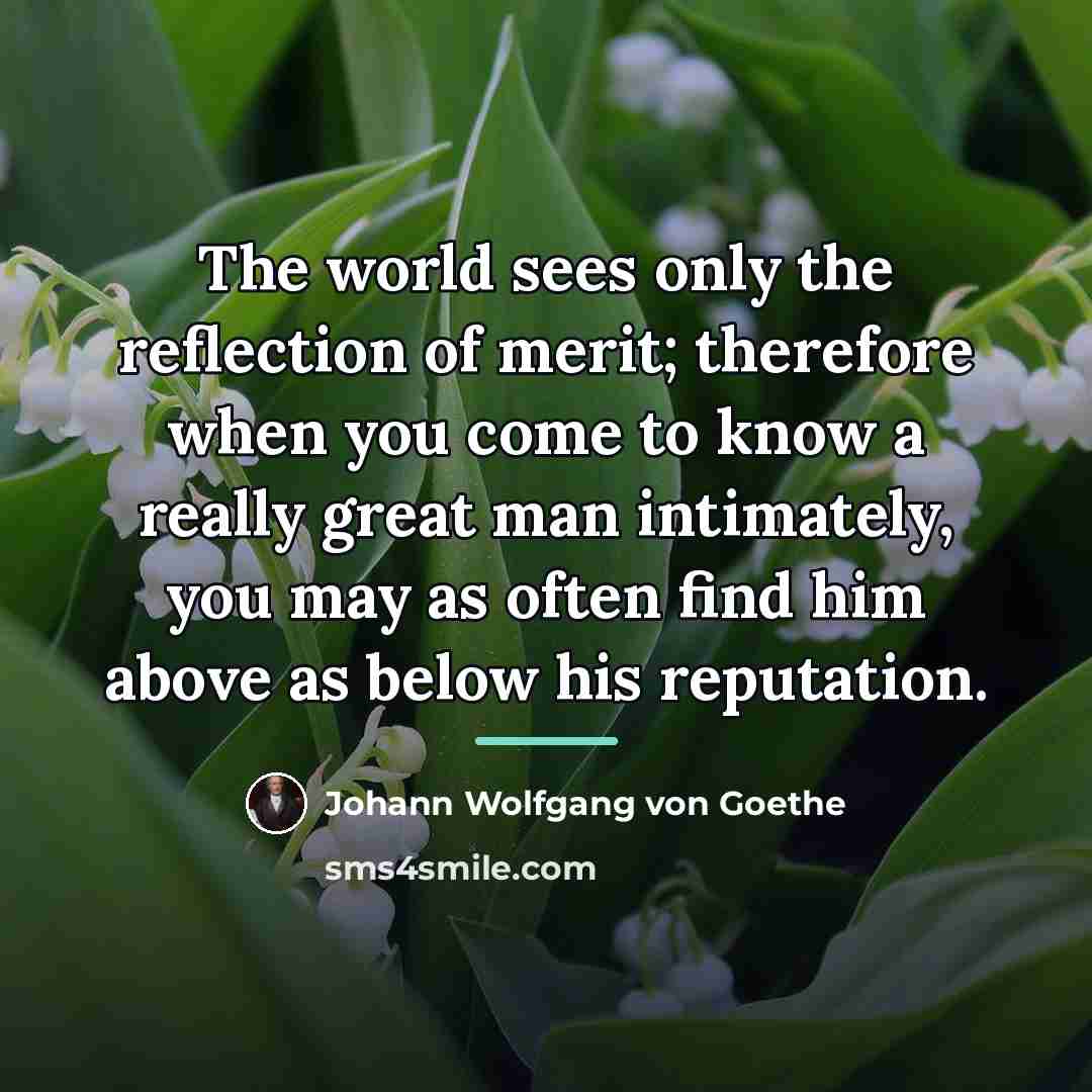“The world sees only the reflection of merit; therefore when…” quote by Johann Wolfgang von Goethe