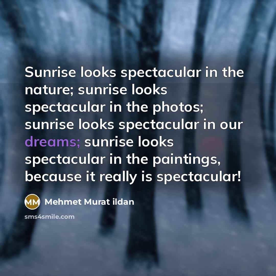 “Sunrise looks spectacular in the nature; sunrise looks spectacular in…” quote by Mehmet Murat Ildan