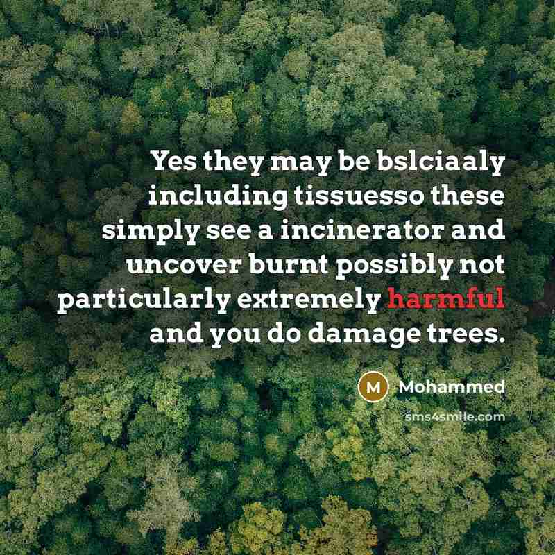 “Yes they may be bslciaaly including tissuesso these simply see a incinerator and uncover burnt possibly not particularly extremely harmful and you do damage trees.” quote by Mohammed