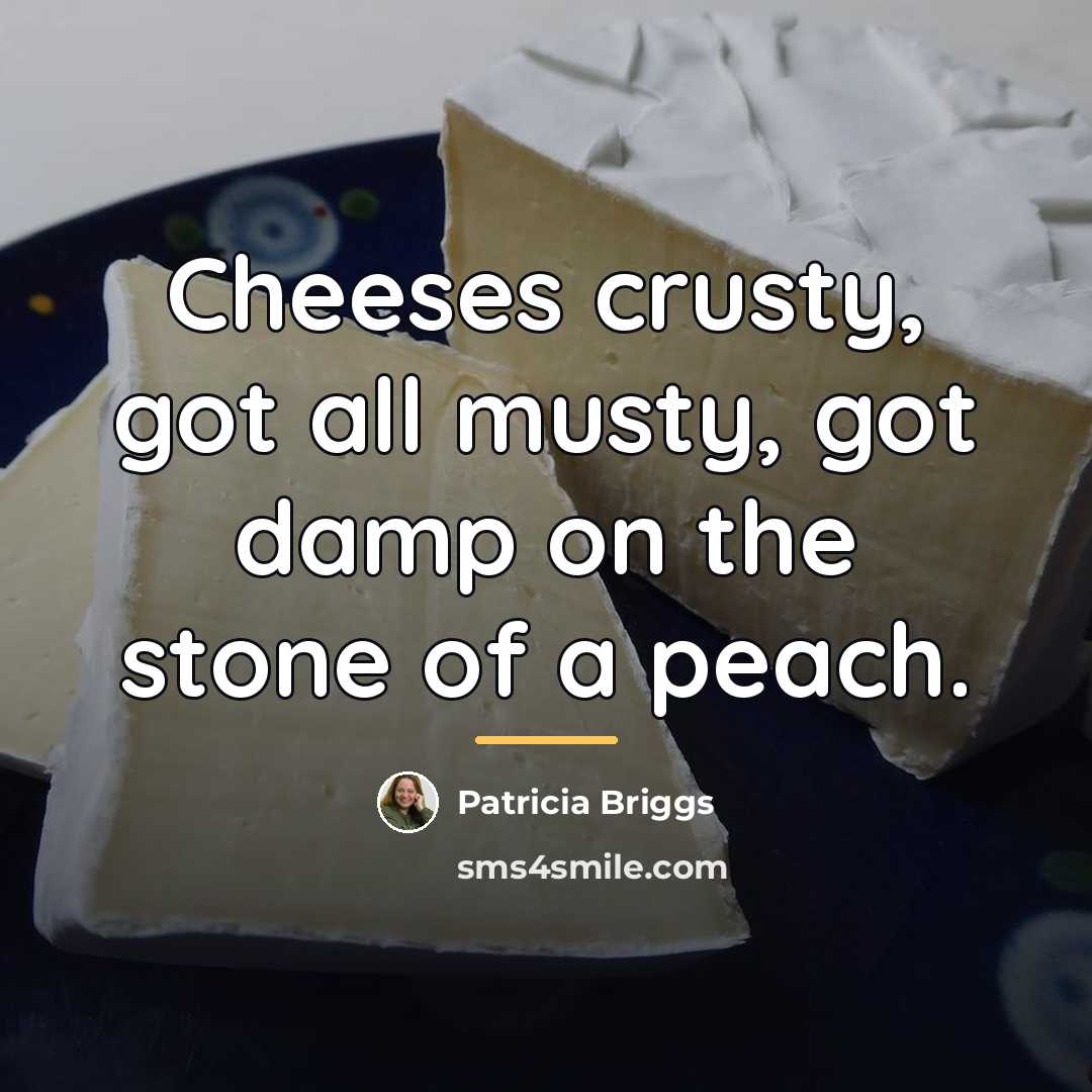 “Cheeses crusty, got all musty, got damp on the stone…” quote by Patricia Briggs