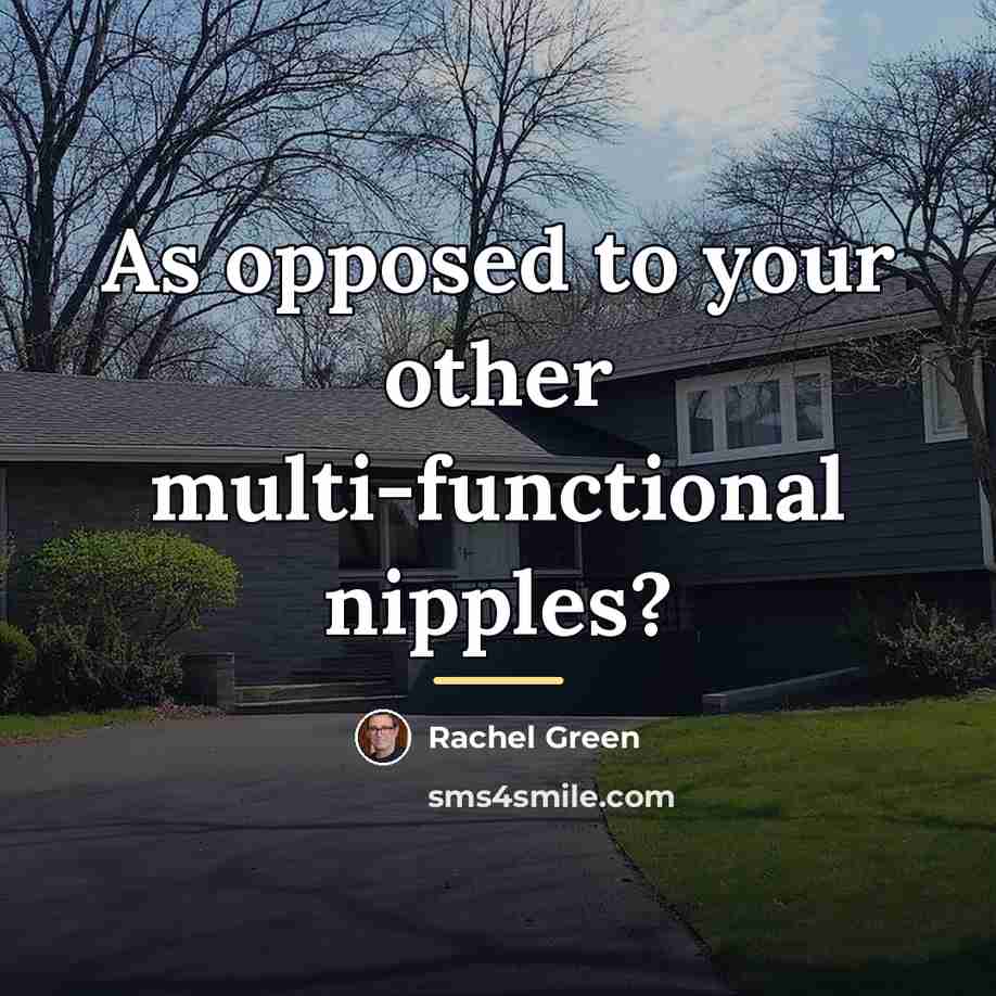 “As opposed to your other multi-functional nipples?…” quote by Rachel Green