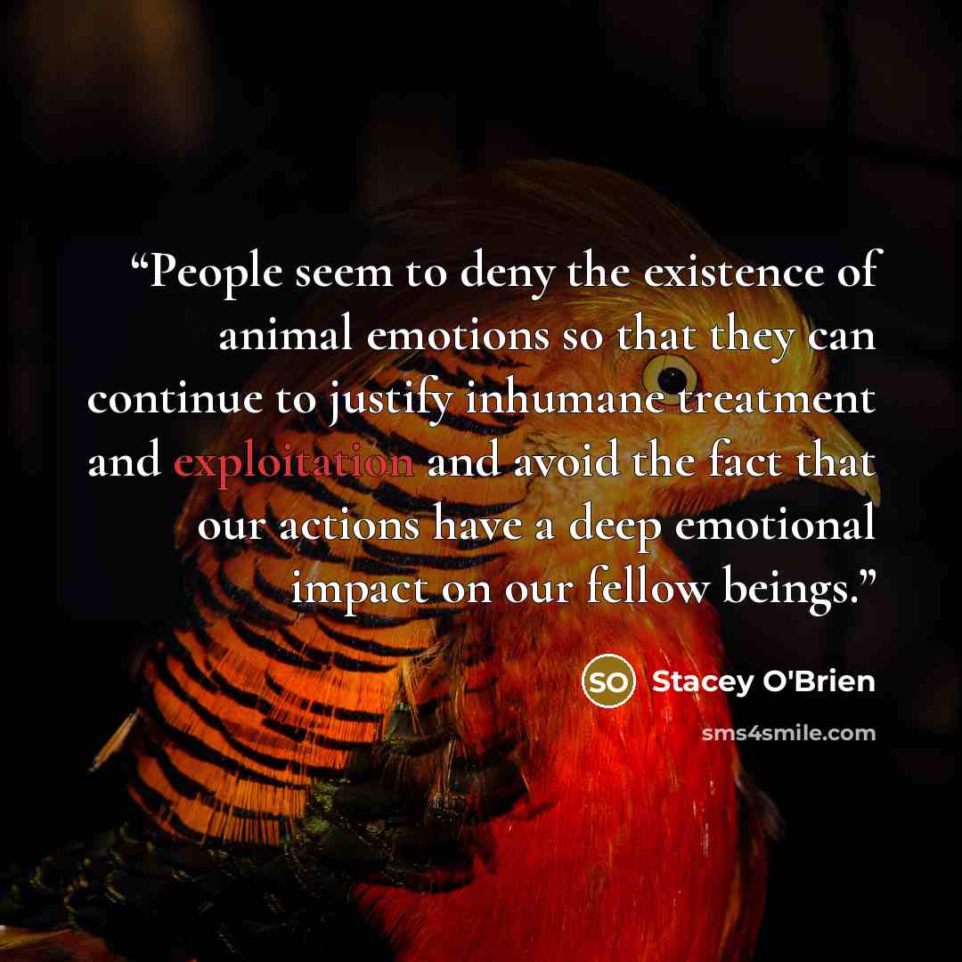 “People seem to deny the existence of animal emotions so that they can continue to justify inhumane treatment and exploitation and avoid the fact that our actions have a deep emotional impact on our fellow beings.” quote by Stacey O'Brien