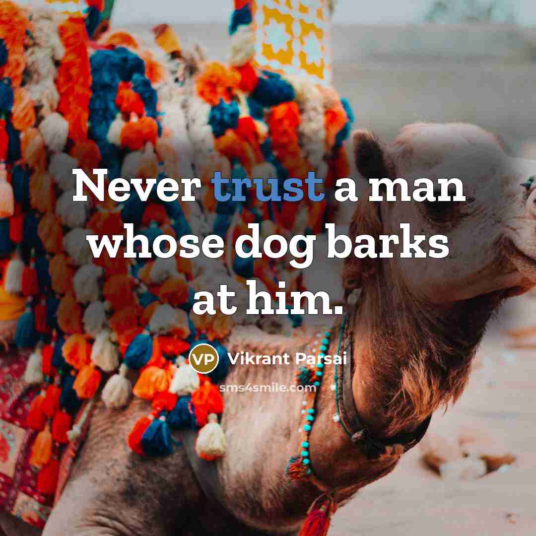 “Never trust a man whose dog barks at him.” quote by Vikrant Parsai