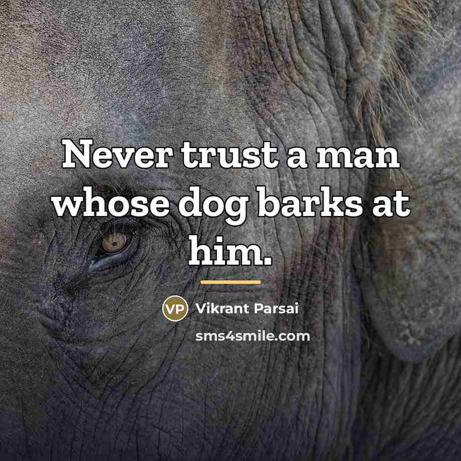 “Never trust a man whose dog barks at him.…” quote by Vikrant Parsai