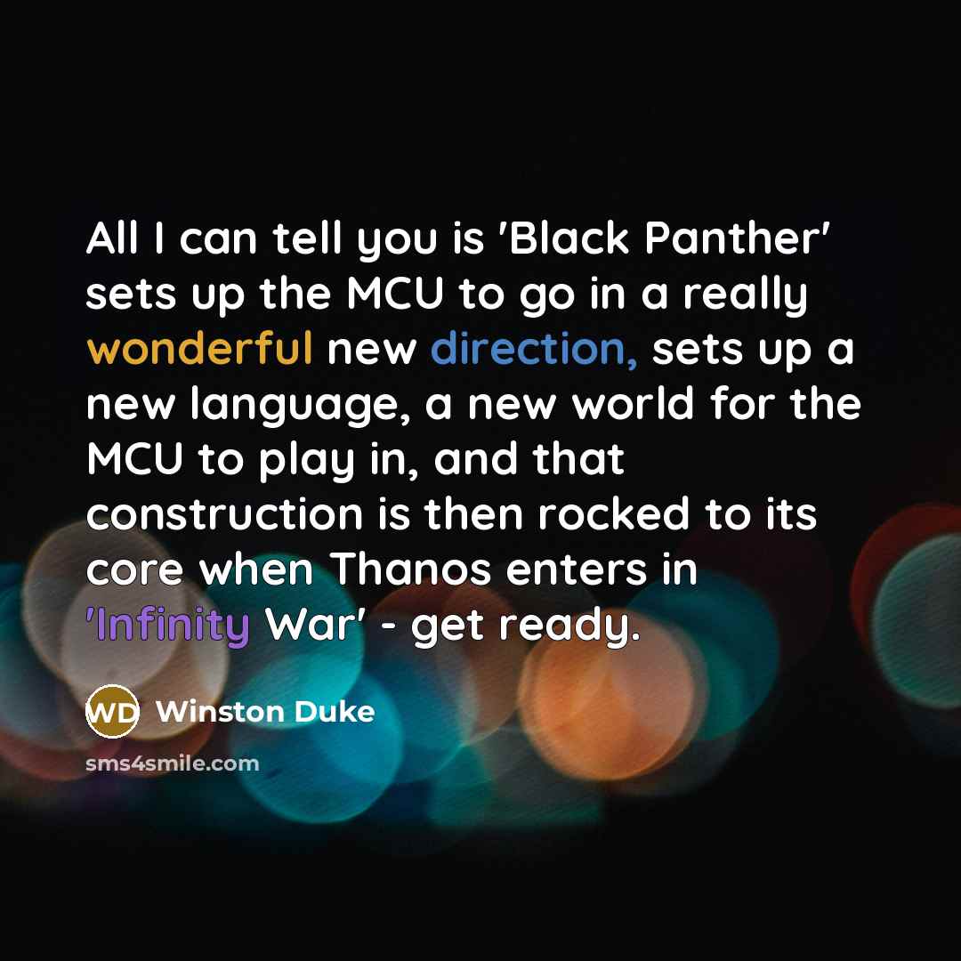 “All I can tell you is 'Black Panther' sets up…” quote by Winston Duke