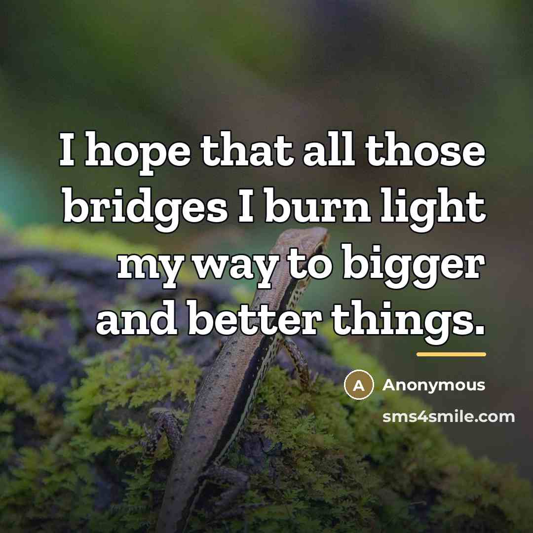 “I hope that all those bridges I burn light my…” quote by Anonymous