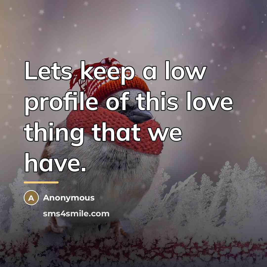 “Lets keep a low profile of this love thing that…” quote by Anonymous