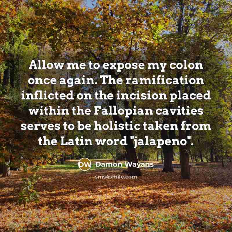 “Allow me to expose my colon once again. The ramification inflicted on the incision placed within the Fallopian cavities serves to be holistic taken from the Latin word "jalapeno".” quote by Damon Wayans