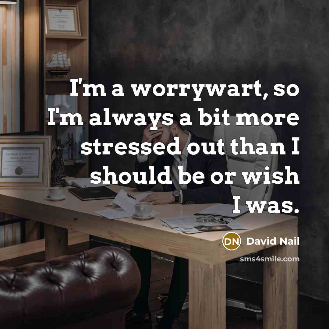 “I'm a worrywart, so I'm always a bit more stressed…” quote by David Nail