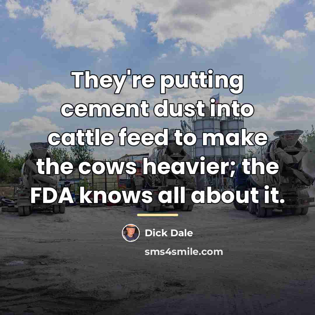 “They're putting cement dust into cattle feed to make the…” quote by Dick Dale