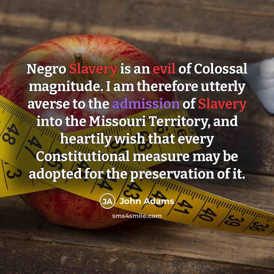 “Negro Slavery is an evil of Colossal magnitude. I am…” quote by John Adams