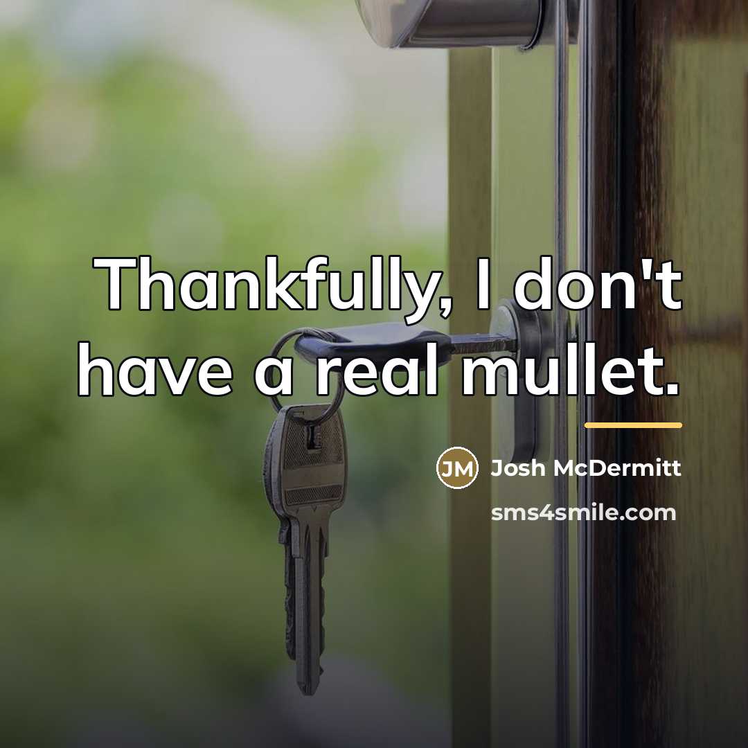 “Thankfully, I don't have a real mullet.…” quote by Josh McDermitt