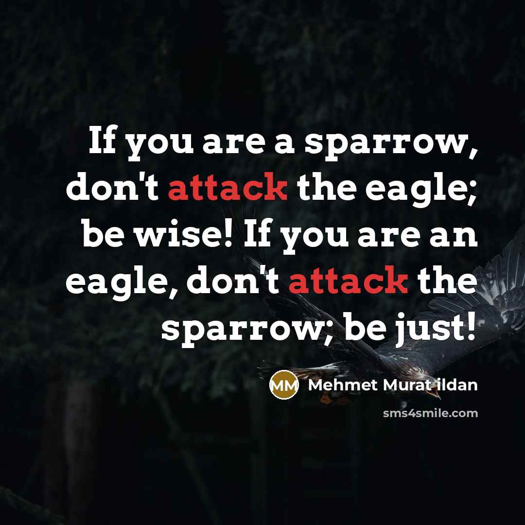 “If you are a sparrow, don't attack the eagle; be…” quote by Mehmet Murat Ildan