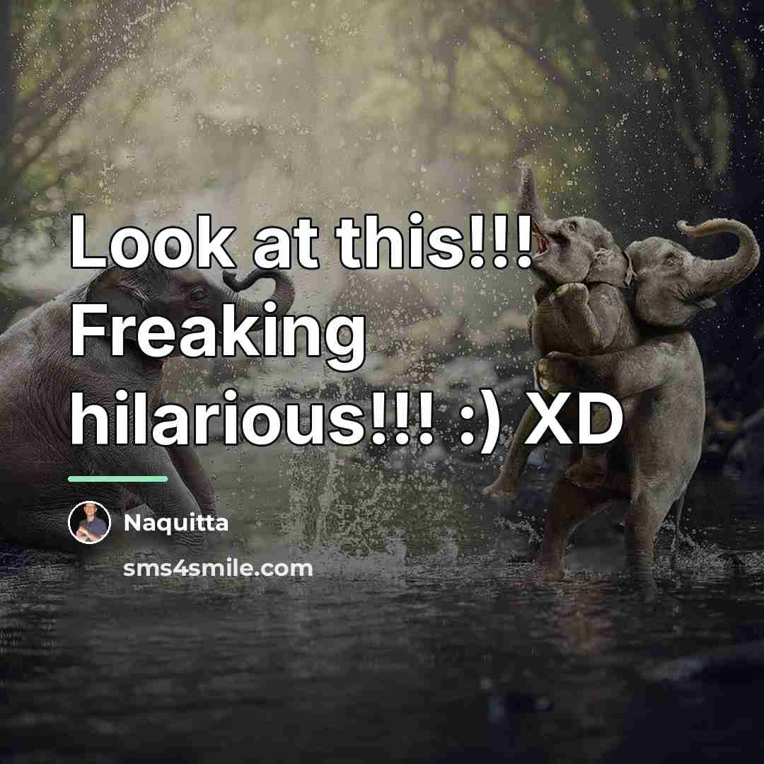 “Look at this!!! Freaking hilarious!!! :) XD…” quote by Naquitta