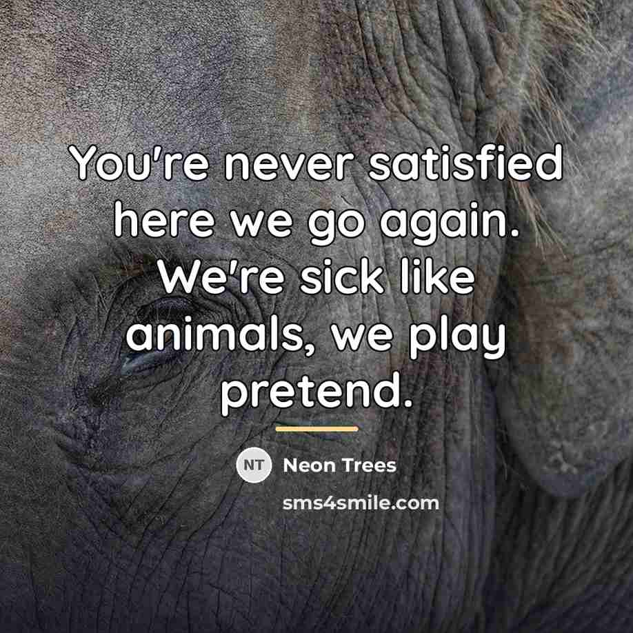 “You're never satisfied here we go again. We're sick like…” quote by Neon Trees