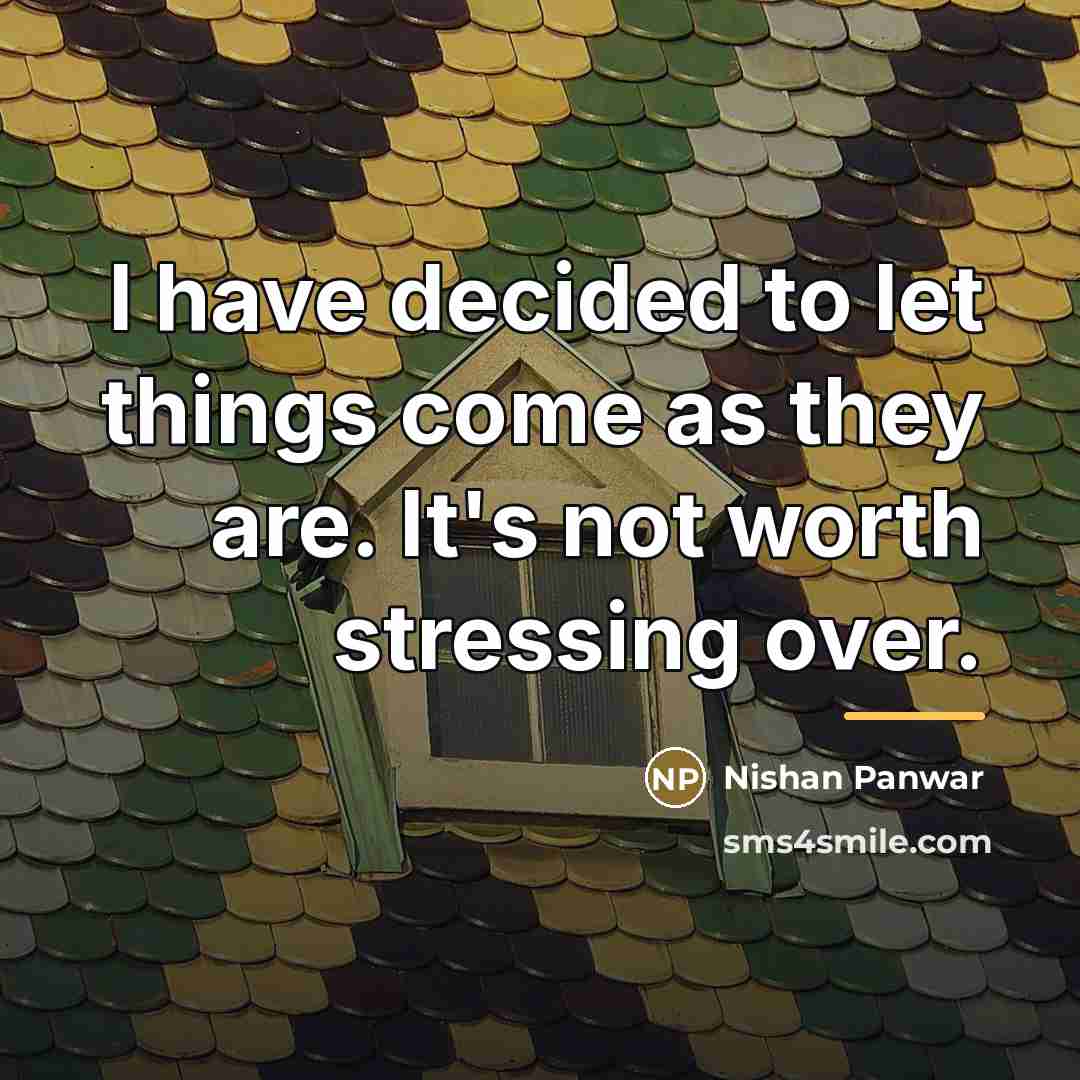 “I have decided to let things come as they are.…” quote by Nishan Panwar