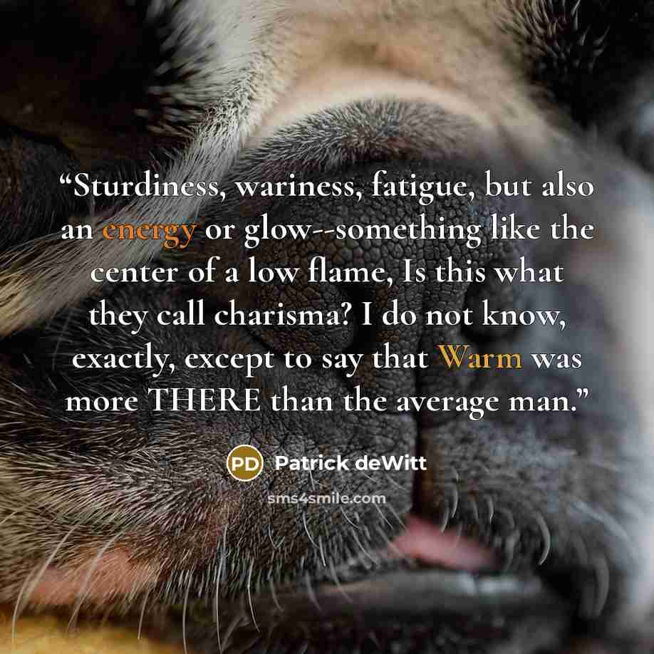 “Sturdiness, wariness, fatigue, but also an energy or glow--something like the center of a low flame, Is this what they call charisma? I do not know, exactly, except to say that Warm was more THERE than the average man.” quote by Patrick deWitt