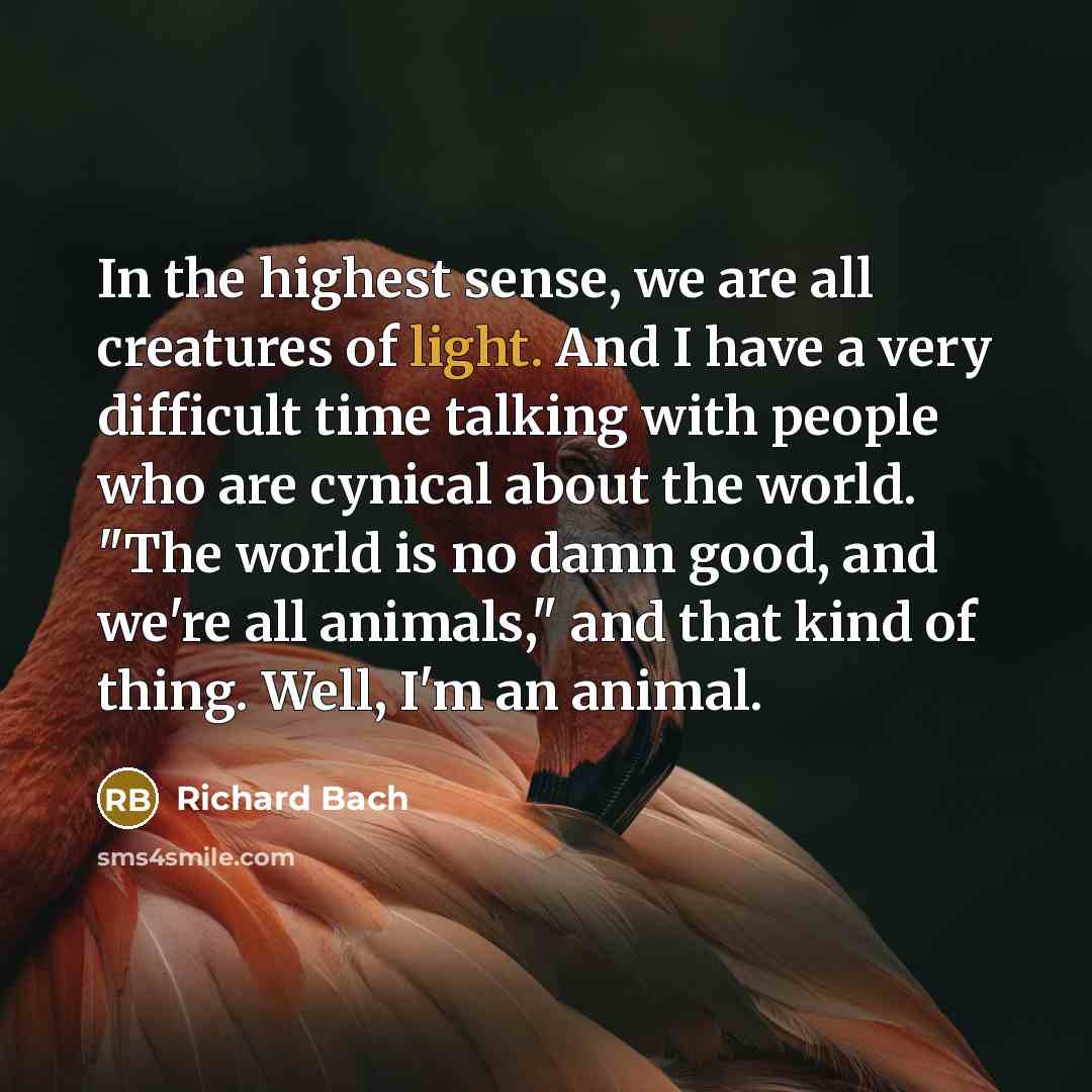 “In the highest sense, we are all creatures of light.…” quote by Richard Bach