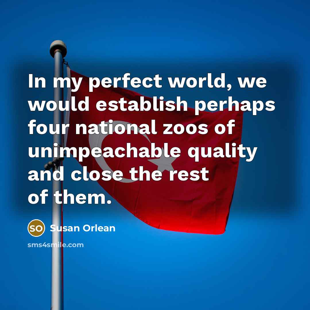 “In my perfect world, we would establish perhaps four national…” quote by Susan Orlean