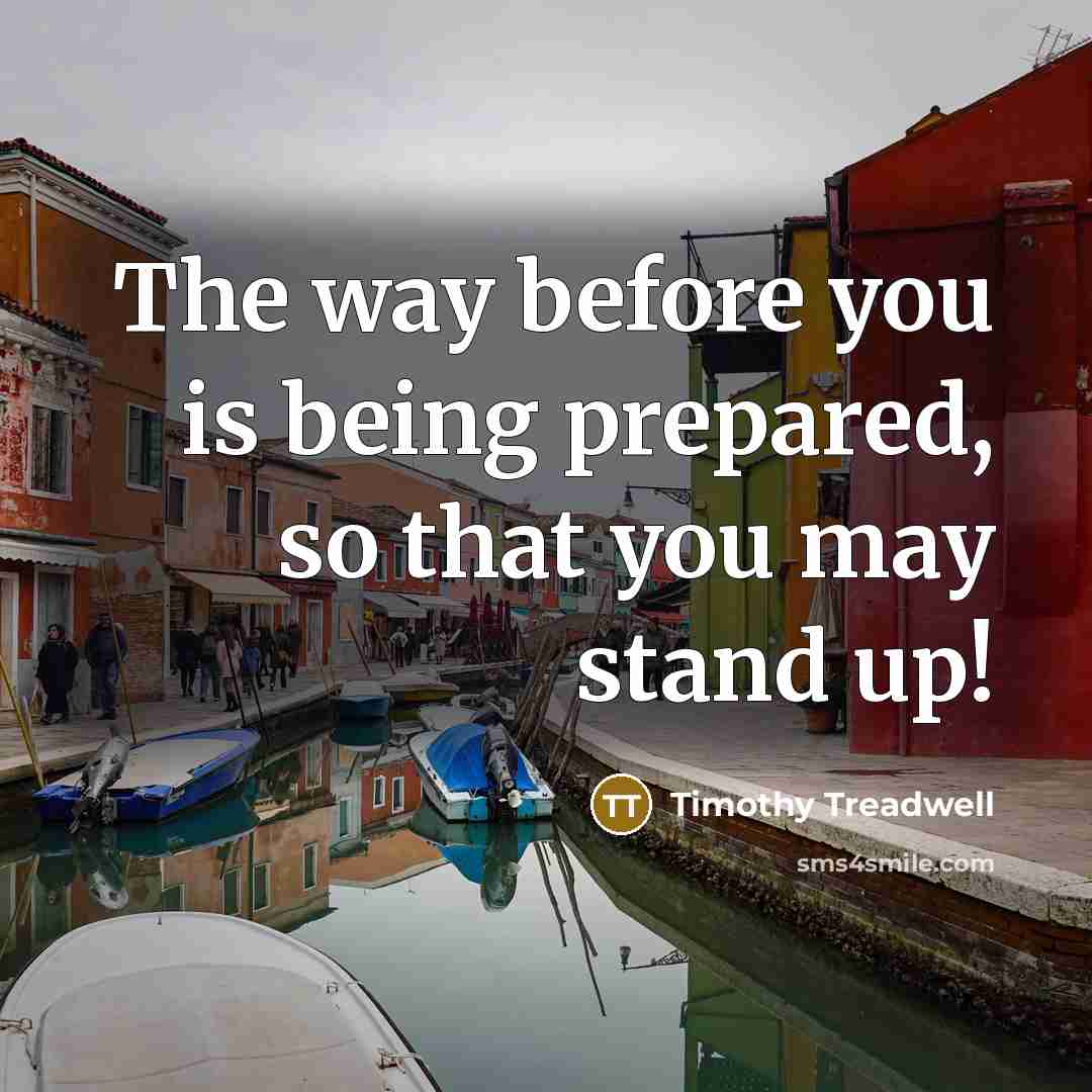 “The way before you is being prepared, so that you…” quote by Timothy Treadwell