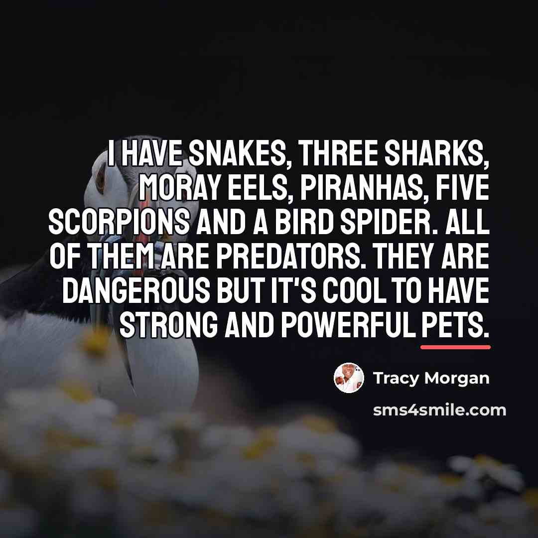 “I have snakes, three sharks, moray eels, piranhas, five scorpions…” quote by Tracy Morgan