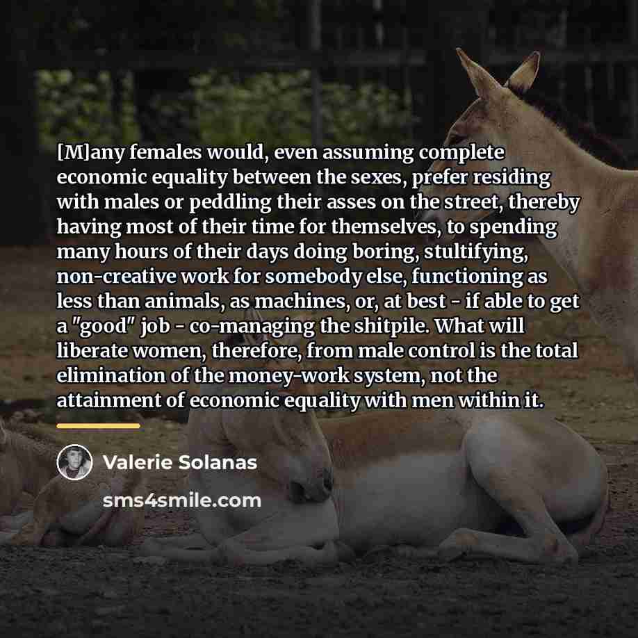 “[M]any females would, even assuming complete economic equality between the…” quote by Valerie Solanas