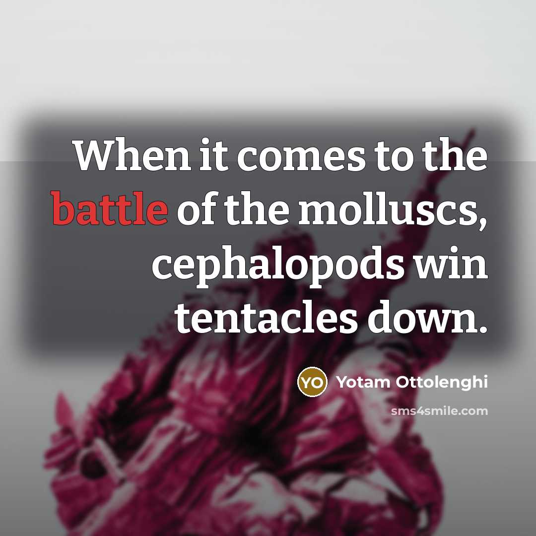 “When it comes to the battle of the molluscs, cephalopods…” quote by Yotam Ottolenghi