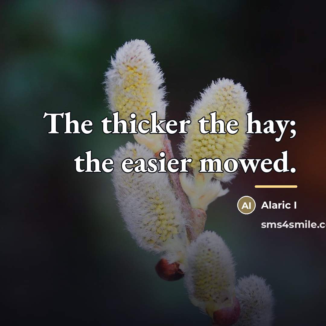 “The thicker the hay; the easier mowed.…” quote by Alaric I