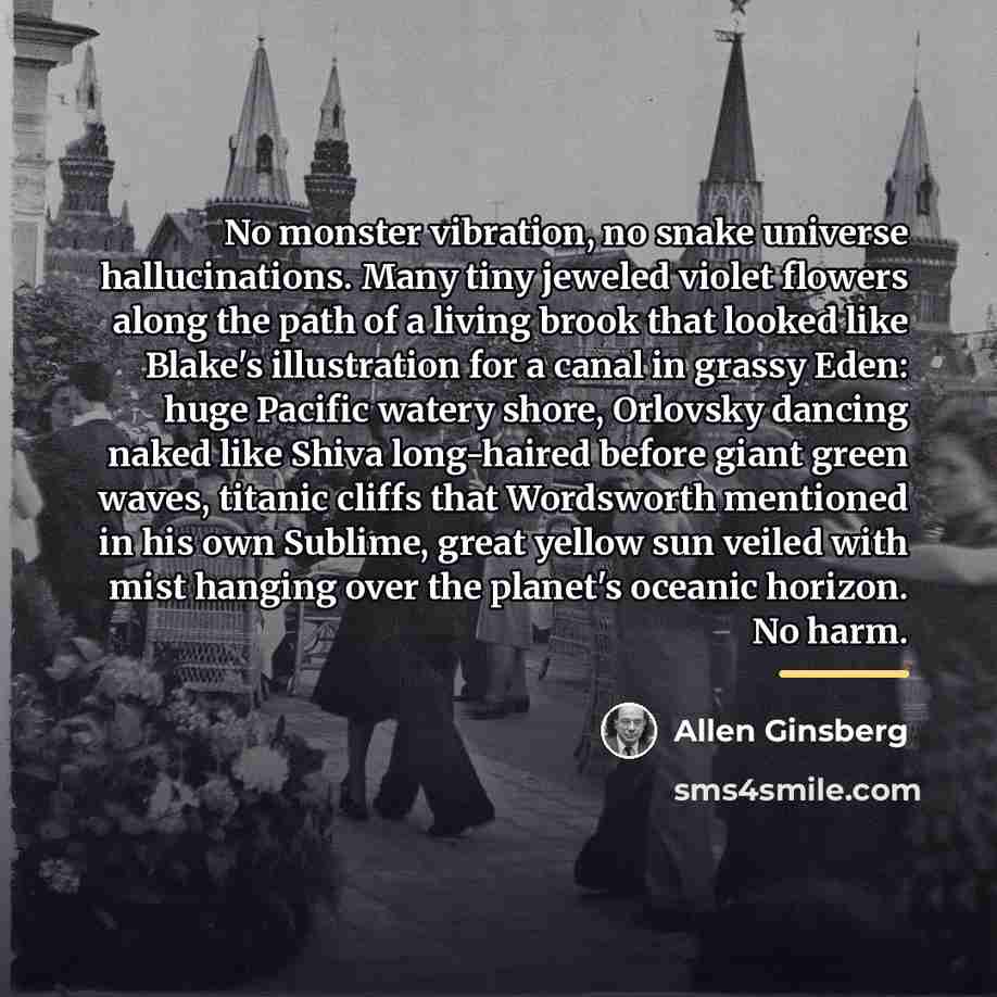 “No monster vibration, no snake universe hallucinations. Many tiny jeweled…” quote by Allen Ginsberg