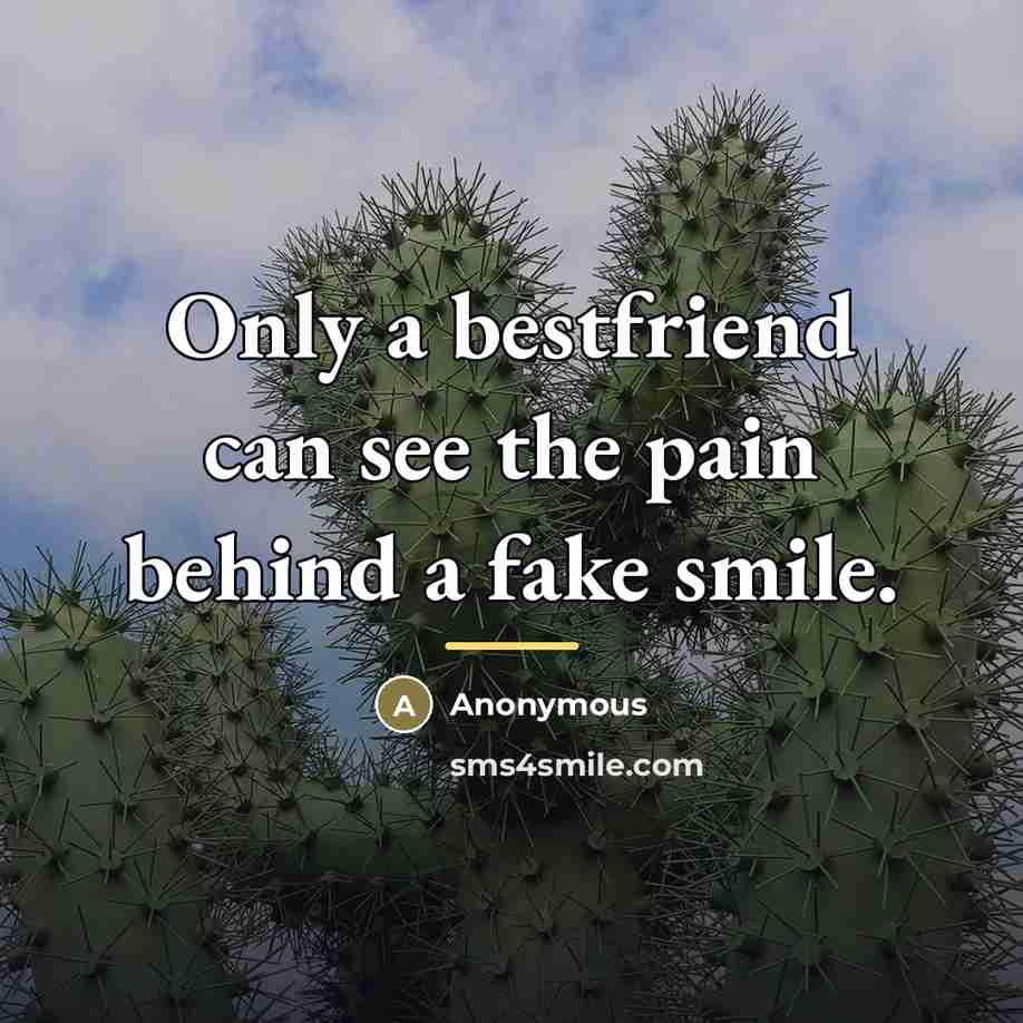“Only a bestfriend can see the pain behind a fake…” quote by Anonymous