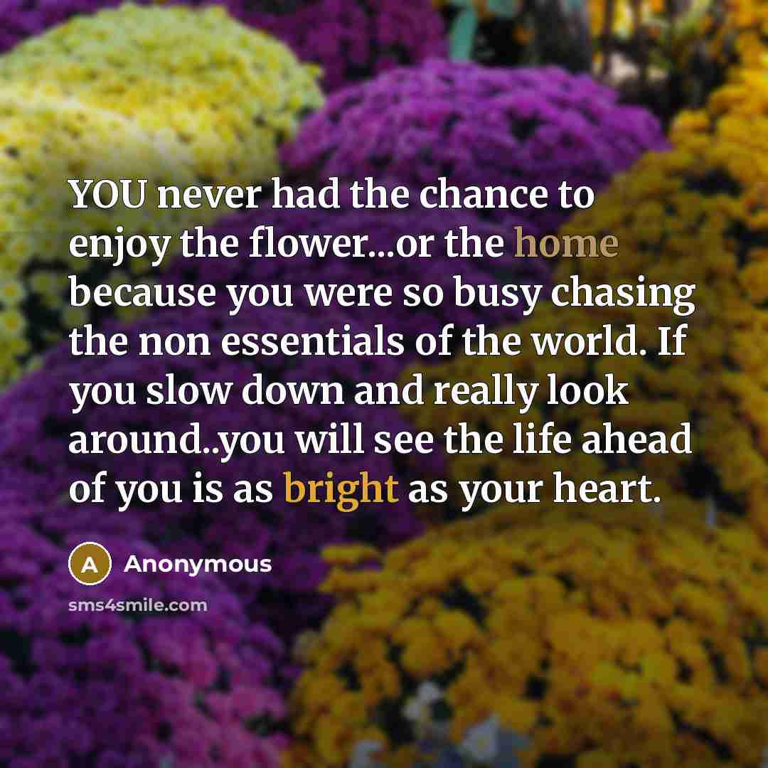 “YOU never had the chance to enjoy the flower...or the home because you were so busy chasing the non essentials of the world. If you slow down and really look around..you will see the life ahead of you is as bright as your heart.” quote by Anonymous