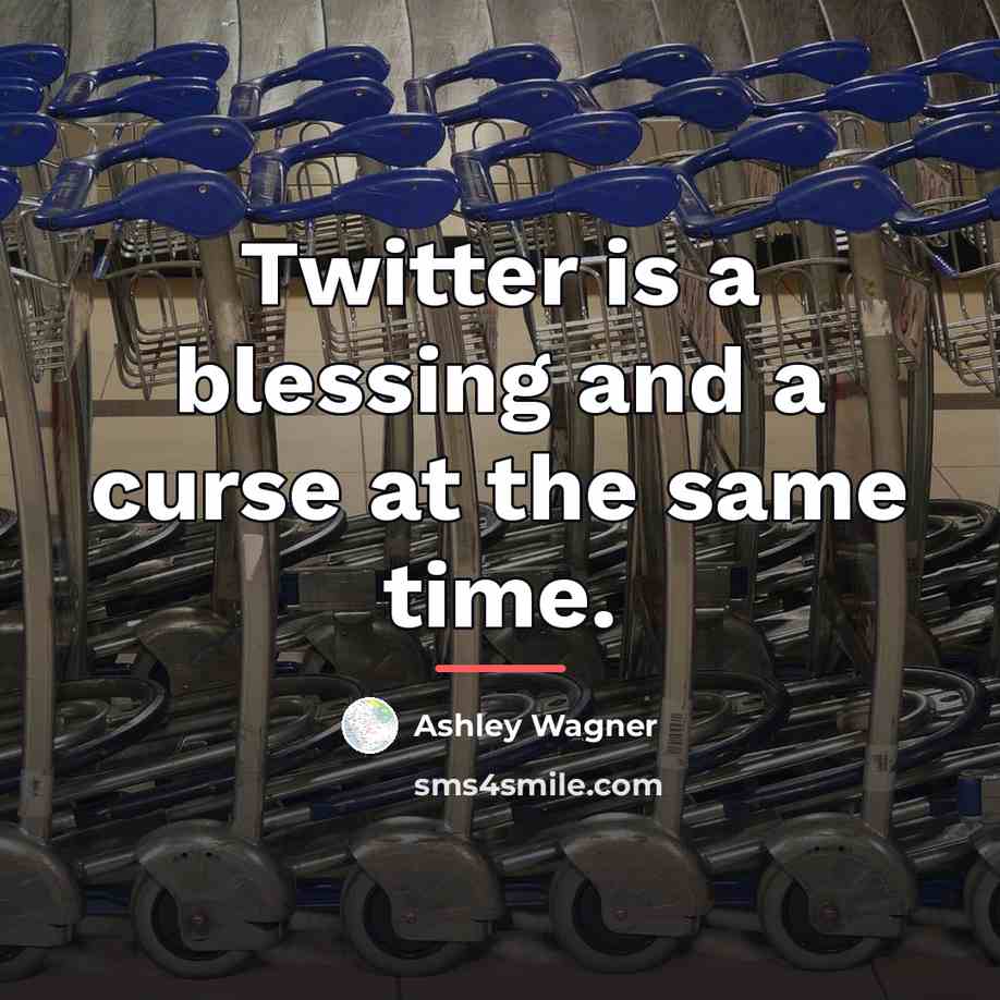 “Twitter is a blessing and a curse at the same…” quote by Ashley Wagner