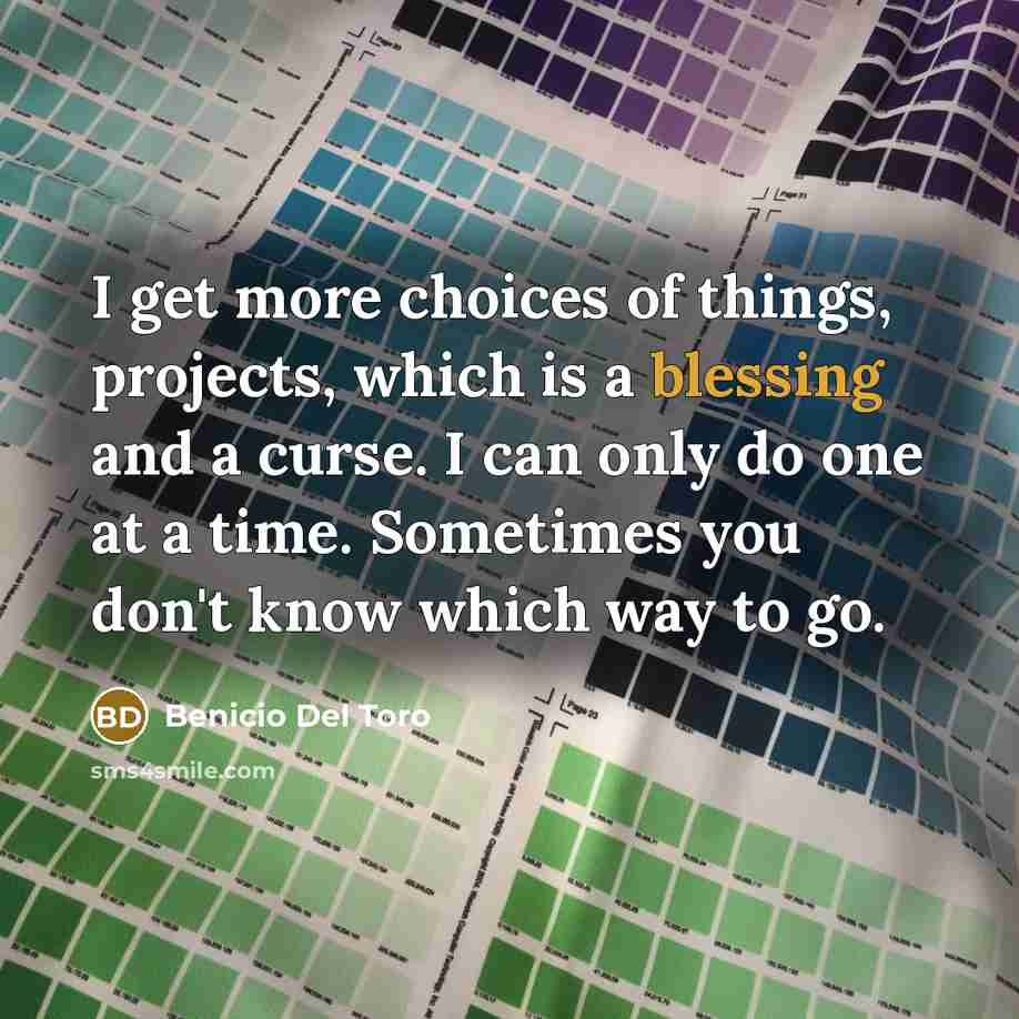 “I get more choices of things, projects, which is a…” quote by Benicio Del Toro