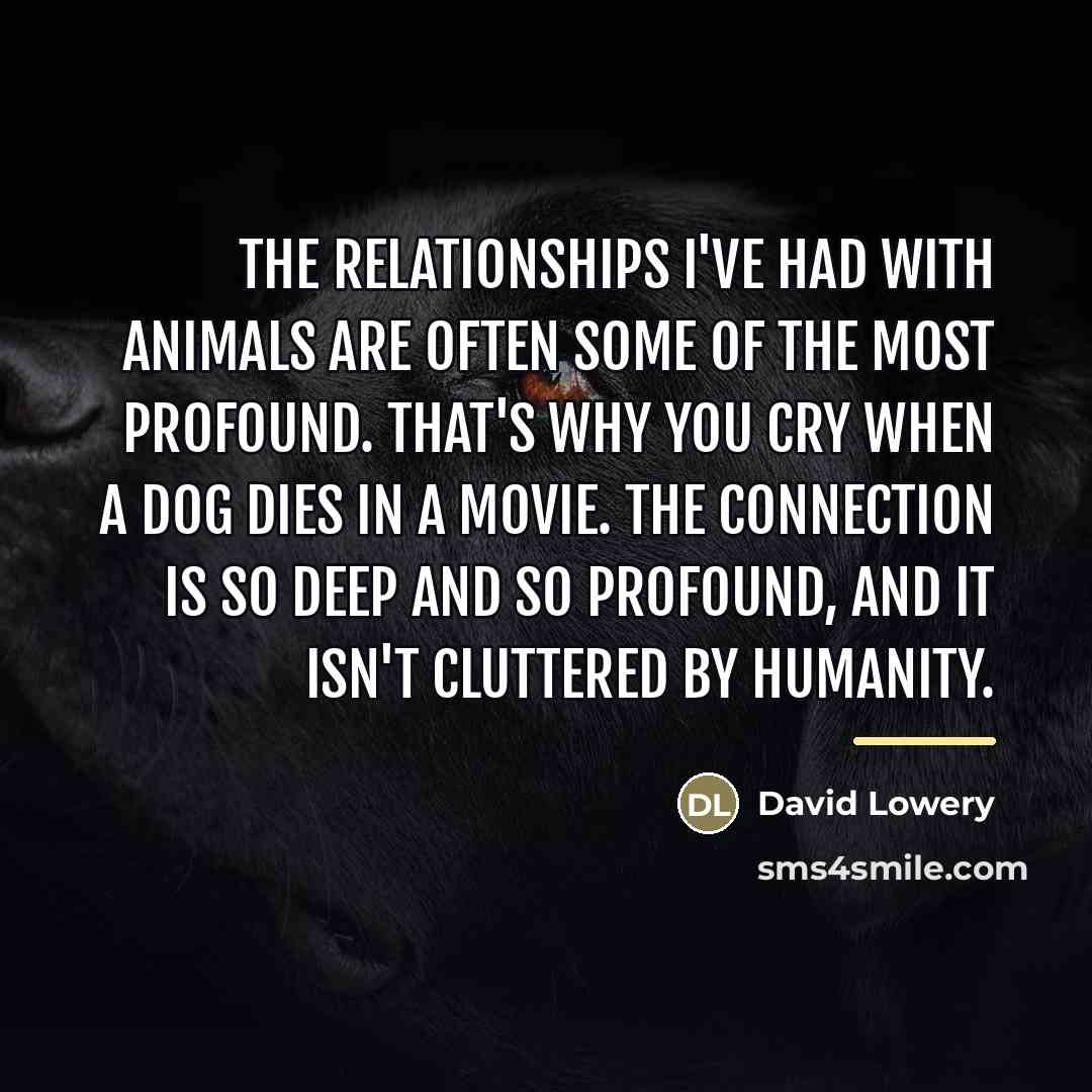 “The relationships I've had with animals are often some of…” quote by David Lowery