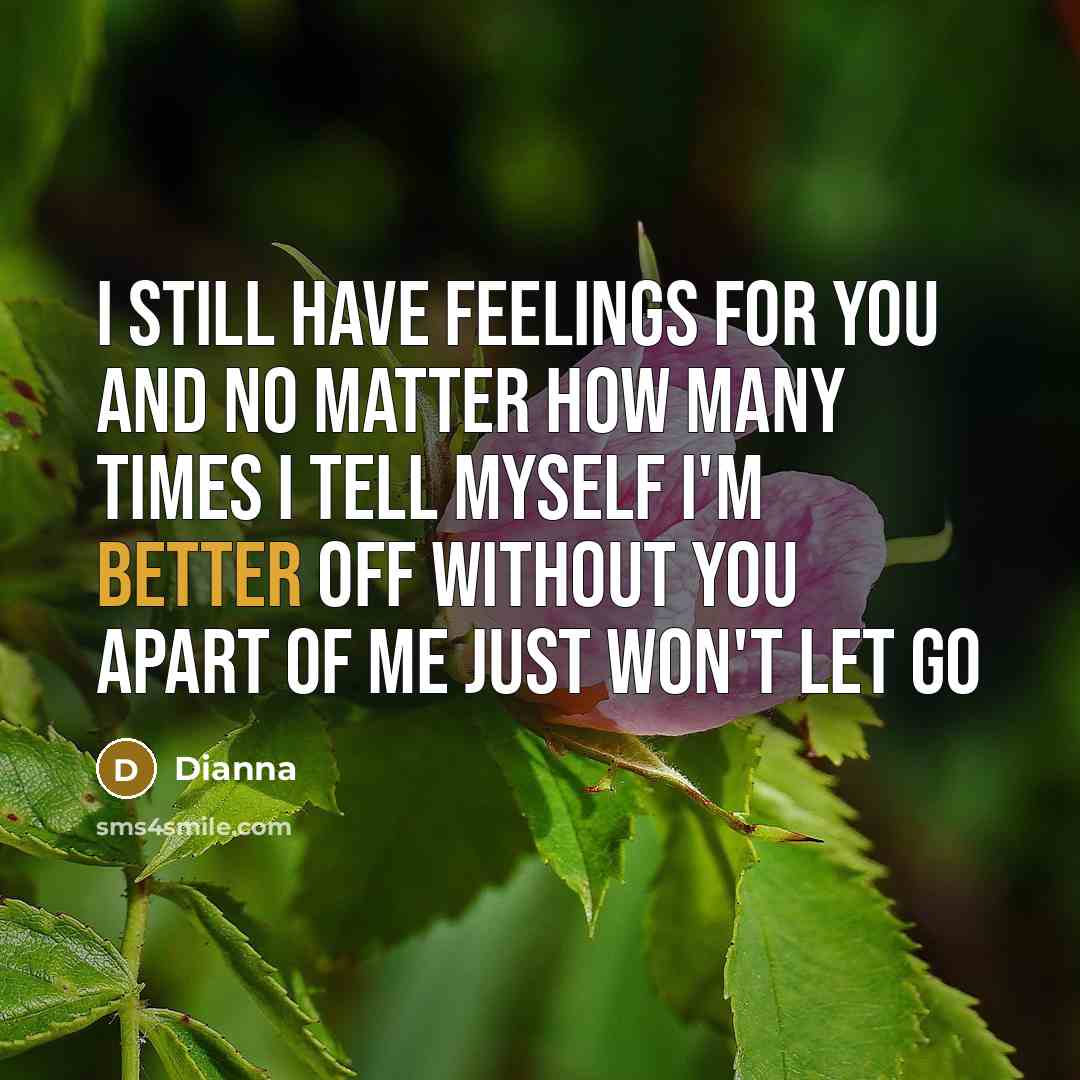 “I still have feelings for you and no matter how many times I tell myself I'm better off without you apart of me just won't let go” quote by Dianna