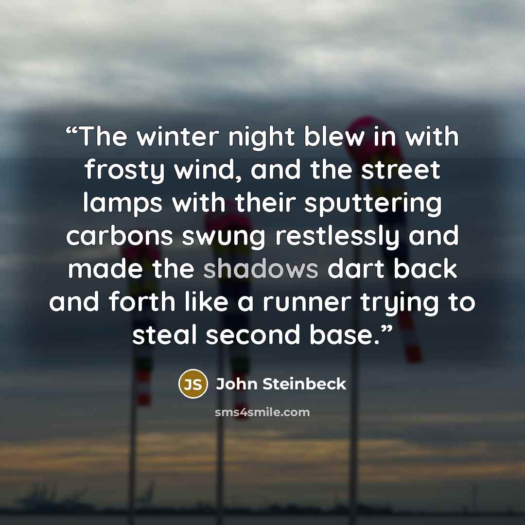 “The winter night blew in with frosty wind, and the street lamps with their sputtering carbons swung restlessly and made the shadows dart back and forth like a runner trying to steal second base.” quote by John Steinbeck