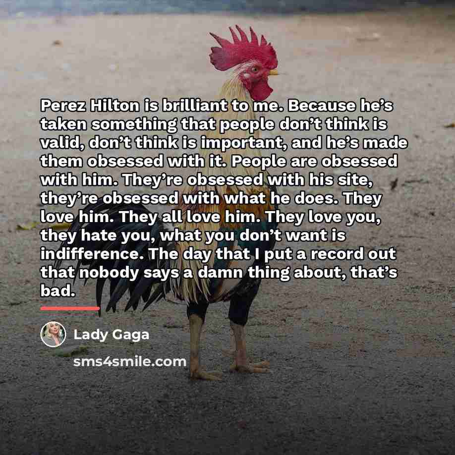 “Perez Hilton is brilliant to me. Because he’s taken something…” quote by Lady Gaga