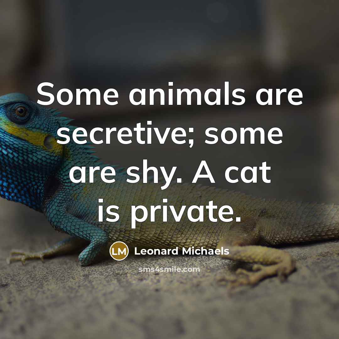 “Some animals are secretive; some are shy. A cat is…” quote by Leonard Michaels