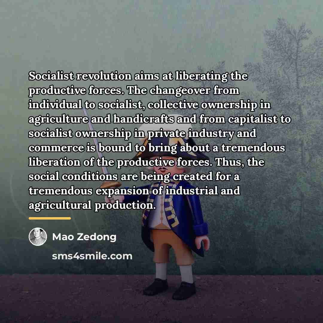 “Socialist revolution aims at liberating the productive forces. The changeover…” quote by Mao Zedong